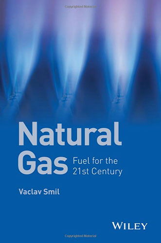 Natural Gas: Fuel for the 21st Century front cover